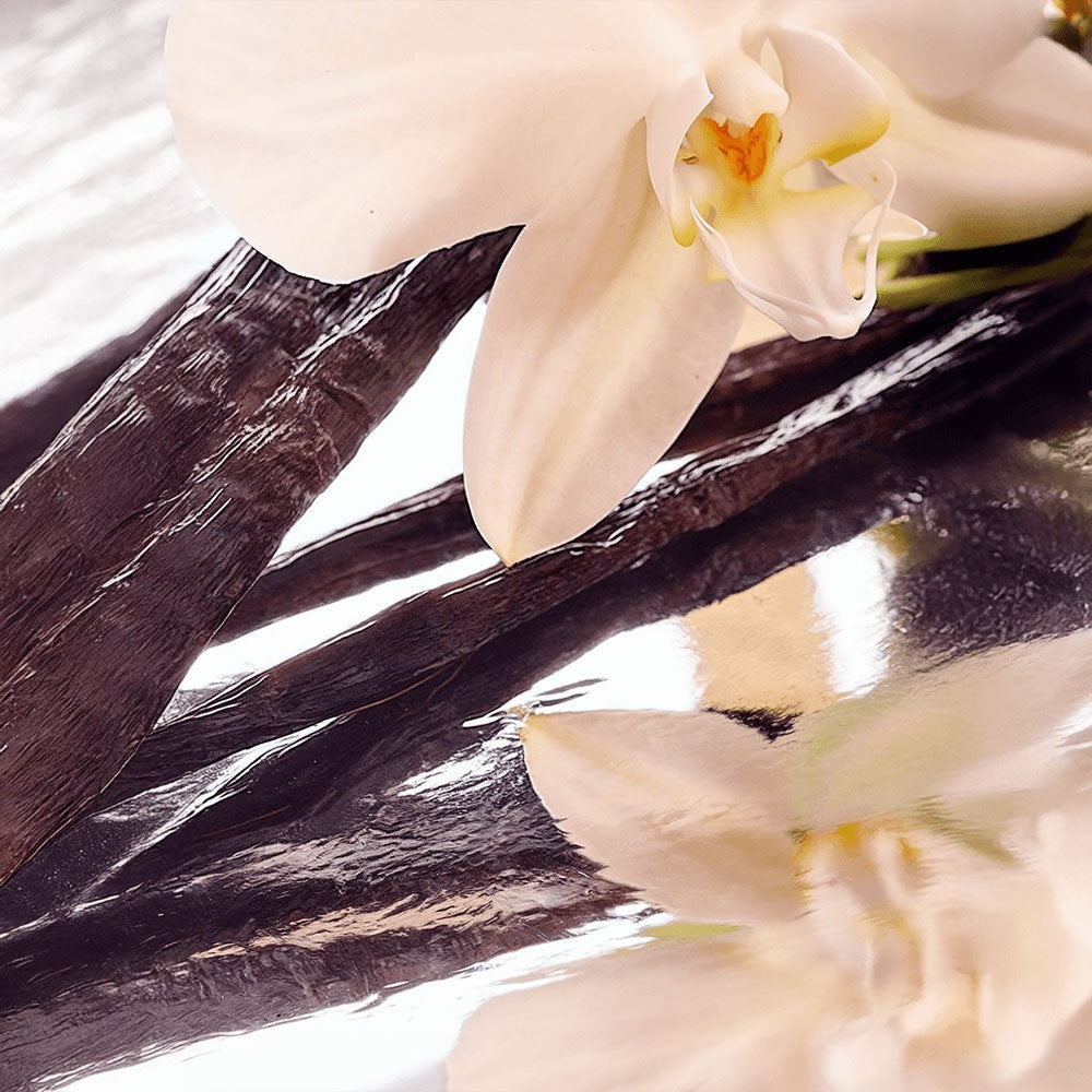 Moonlit Vanilla Whipped Lotion