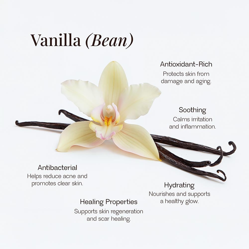 Moonlit Vanilla Whipped Lotion