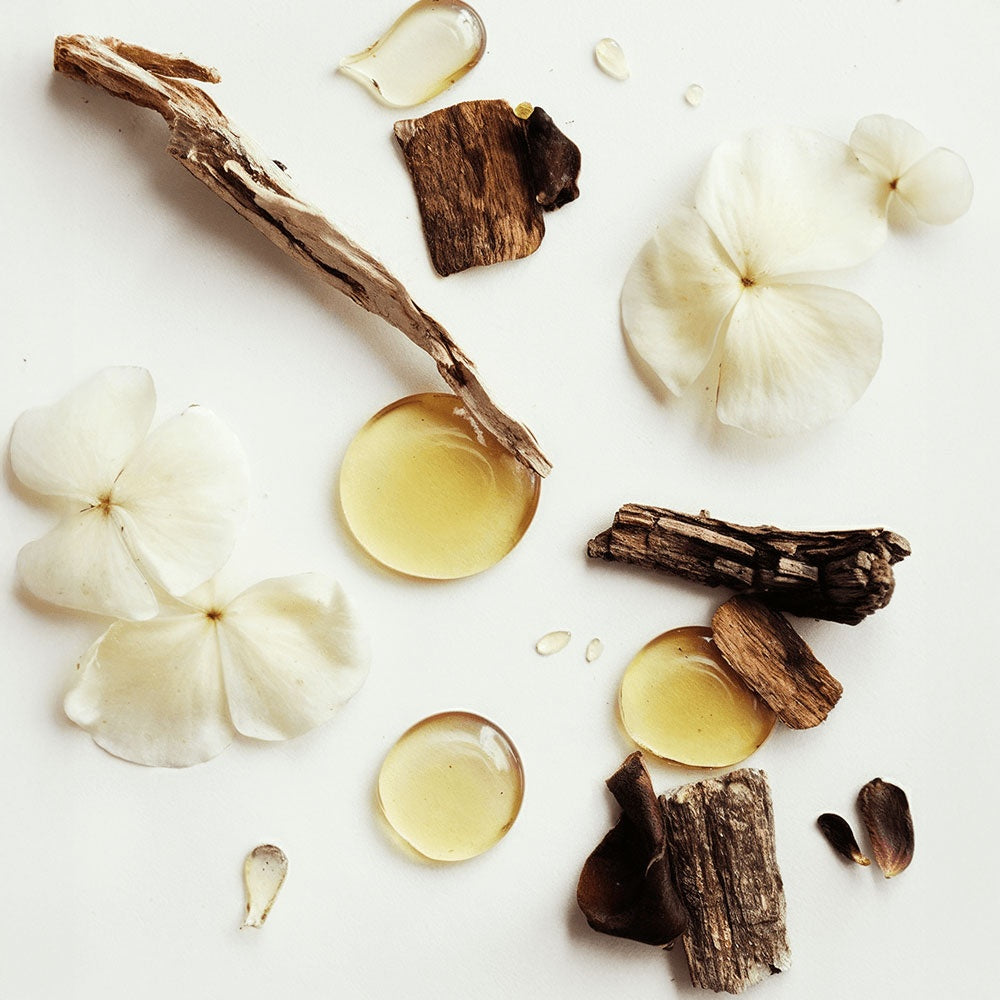 Moonlit Vanilla Whipped Lotion