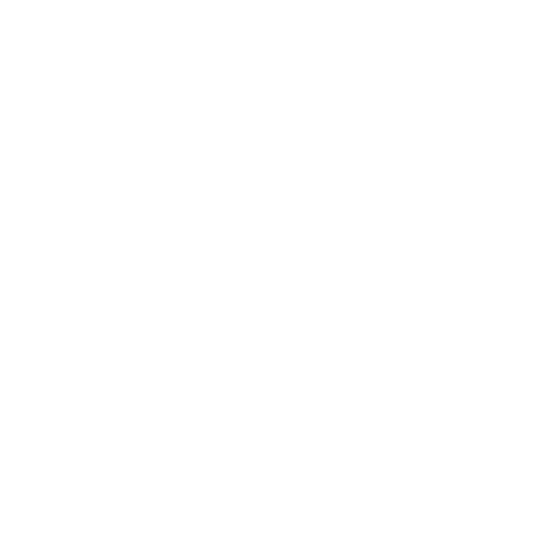 Mossy Turtle Skincare turtle