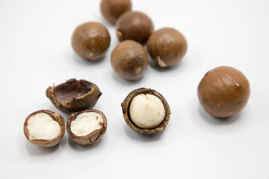 Whole and cracked macadamia nuts on a clean white surface